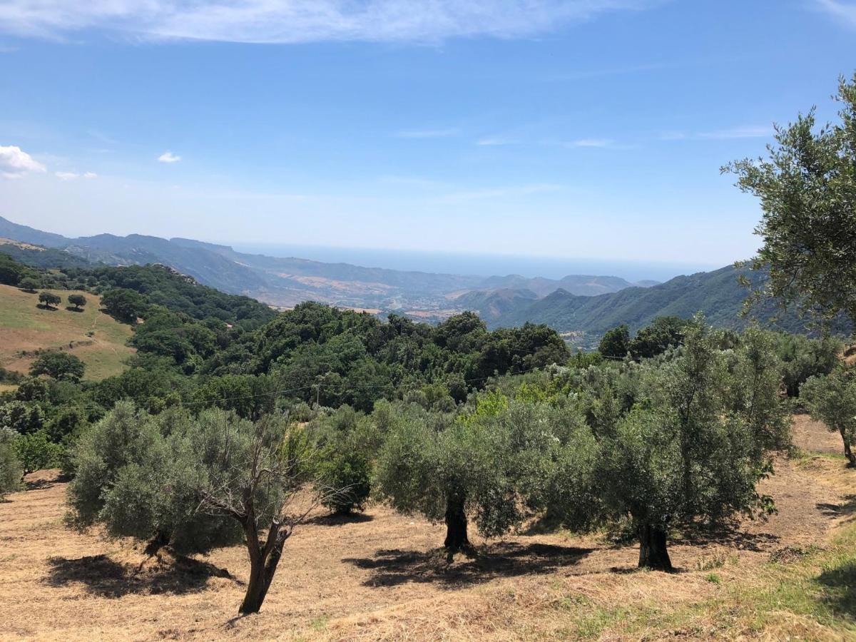 Il Giardino Degli Aranci Aparthotel Antonimina Luaran gambar