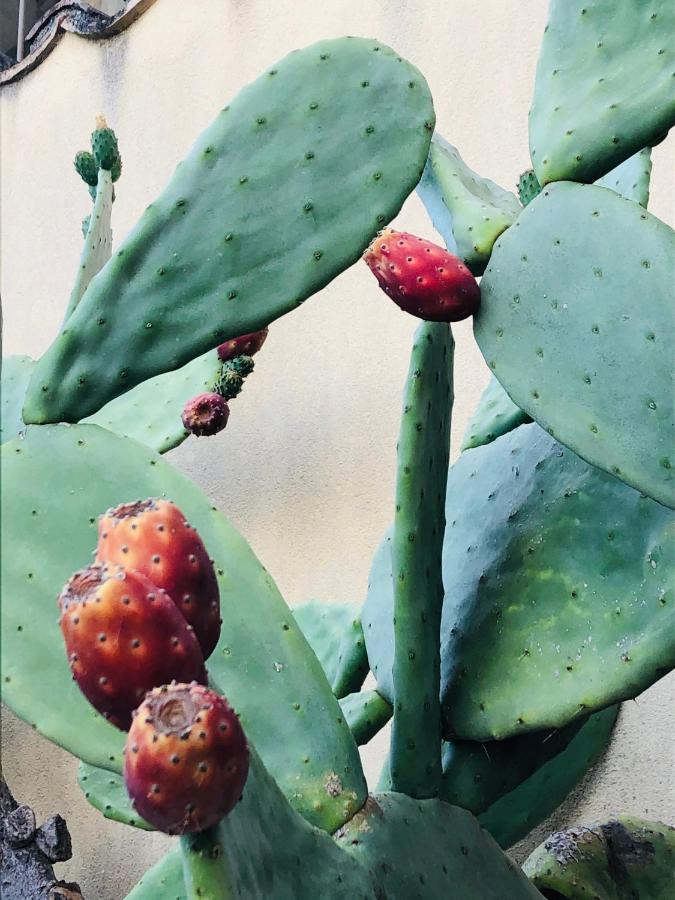 Il Giardino Degli Aranci Aparthotel Antonimina Luaran gambar